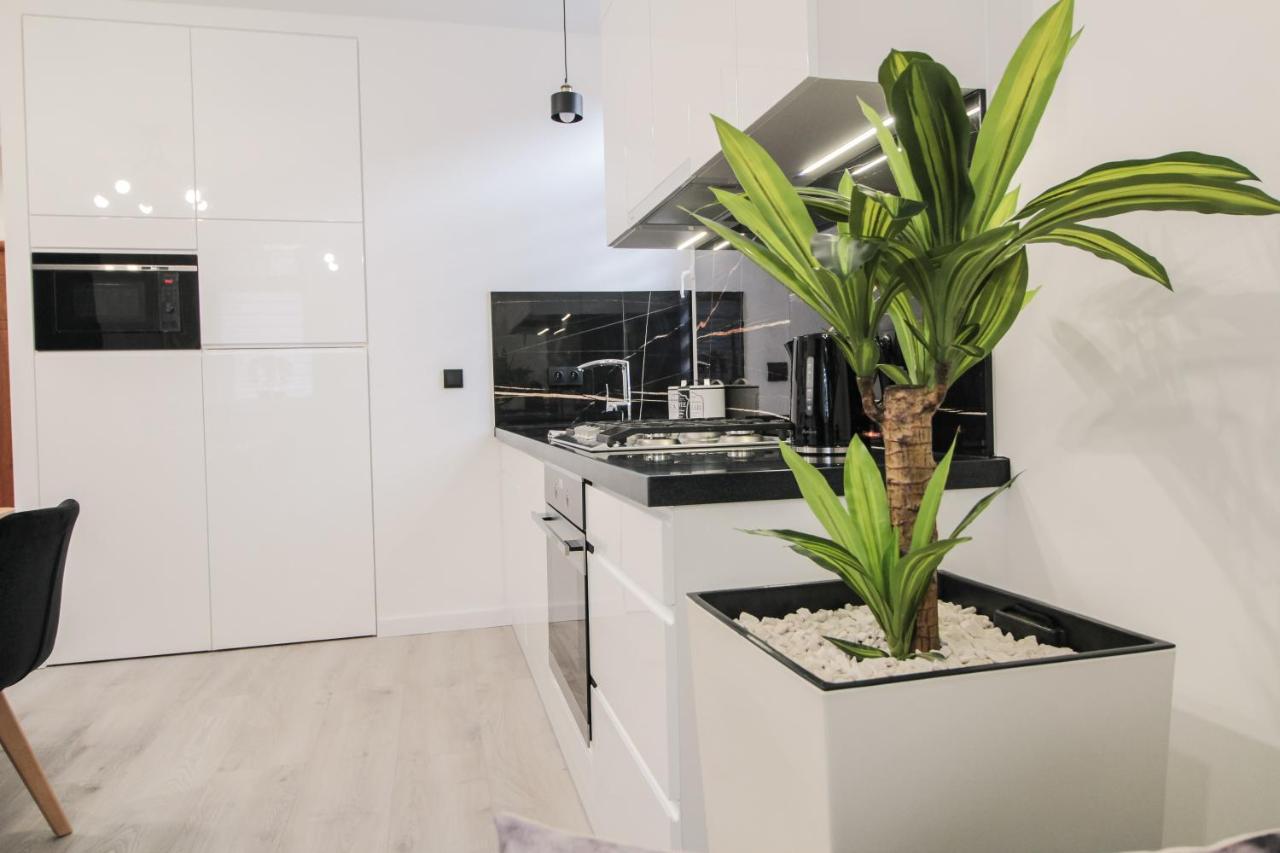 Apartament Zloty Jelen Krynica-Zdrój Exterior foto